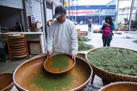 筛茶 筛茶