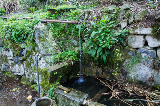 山泉水 山泉水