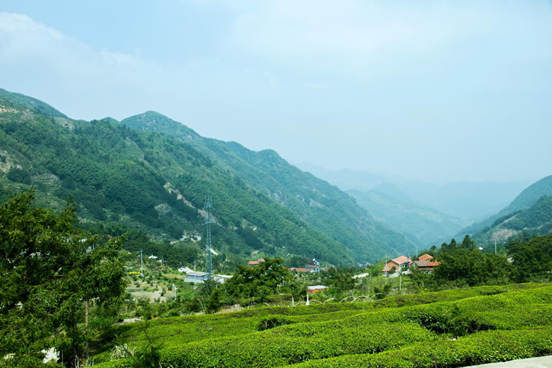 山涧 山涧