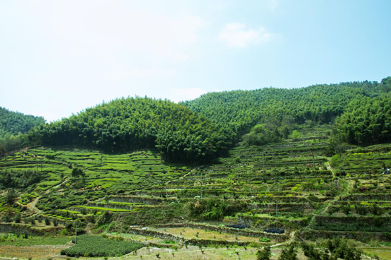 西白山 西白山